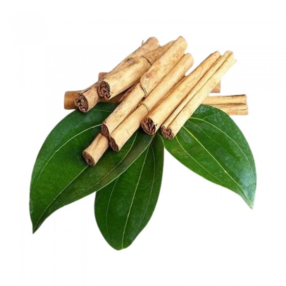 Cinamono lapų eterinis aliejus (Cinnamomum zeylanicum) 10ml