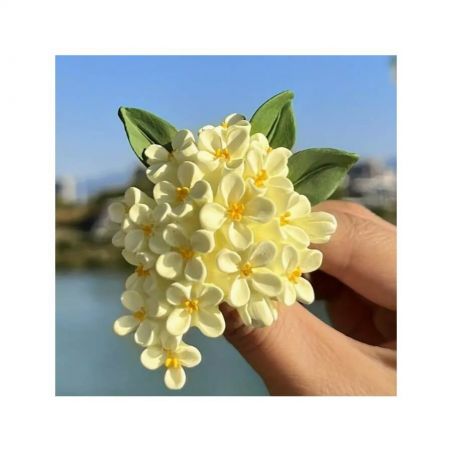 $productcomments_product->name