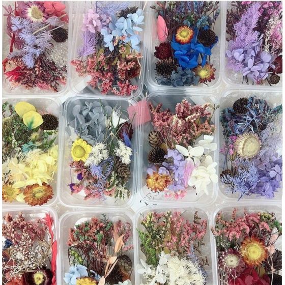 Džiovintų gėlių rinkinys