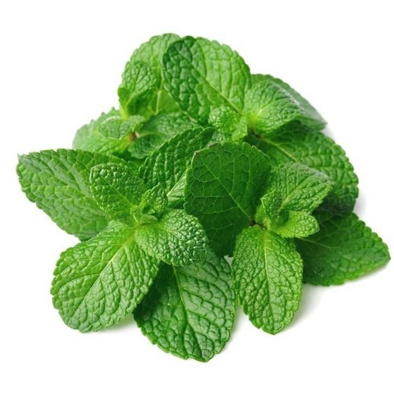 Mėtų eterinis aliejus (Mentha arvensis)