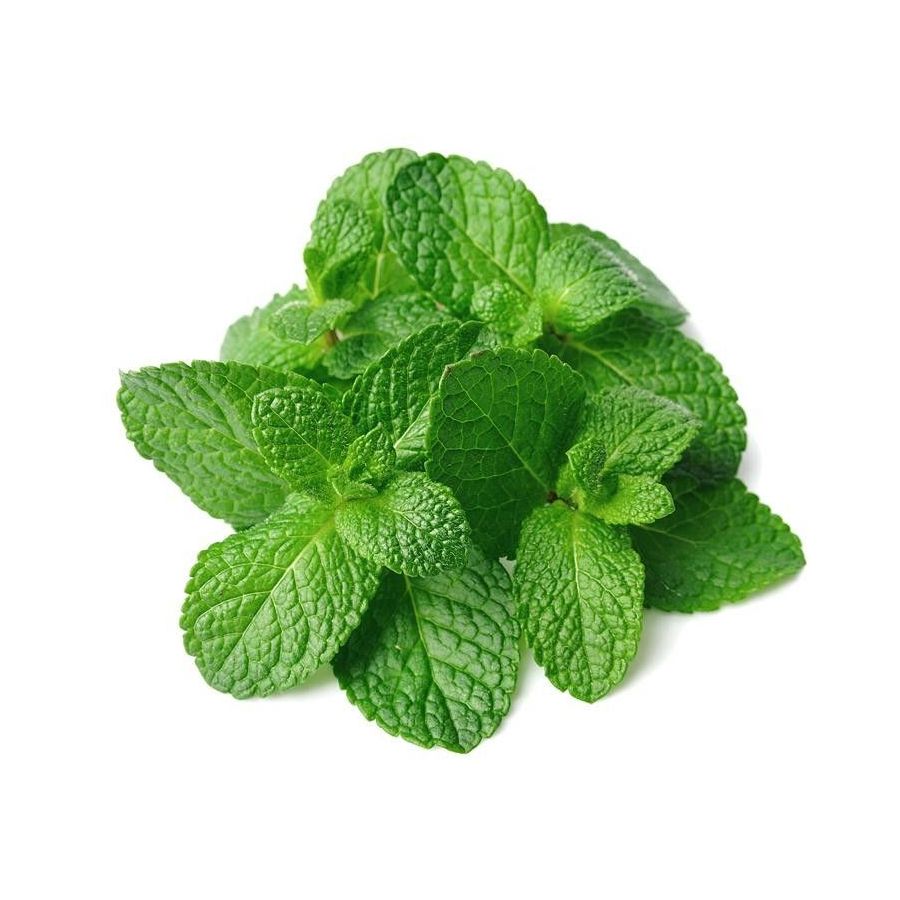 Mėtų eterinis aliejus (Mentha arvensis)
