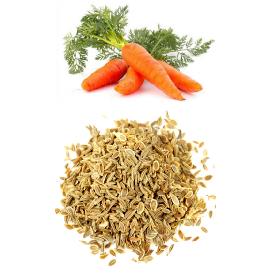 Morkų sėklų eterinis aliejus (Daucus carota) 5ml
