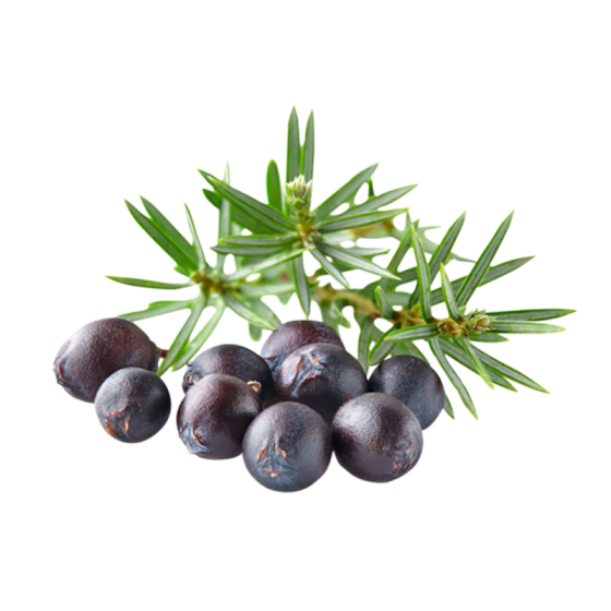 Kadagių eterinis aliejus...