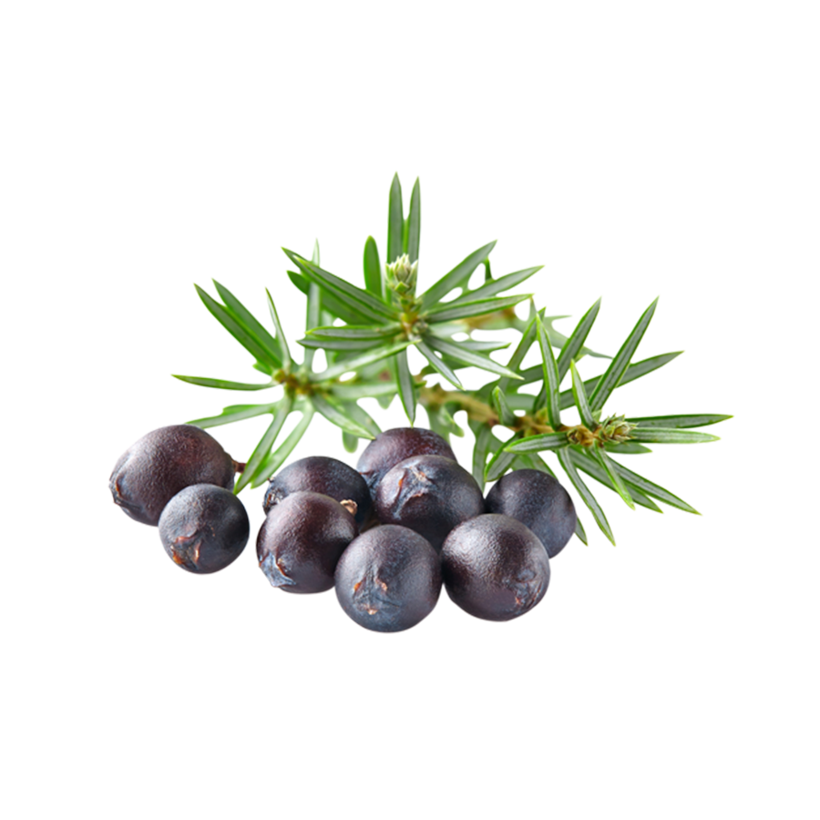 Kadagių eterinis aliejus (Juniperus communis)