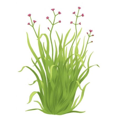 $productcomments_product->name