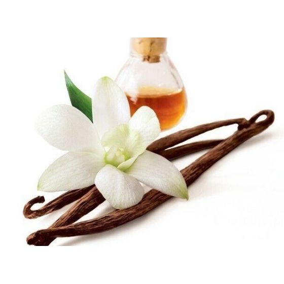 Vanilės absoliutas (Vanilla planifolia) 2ml