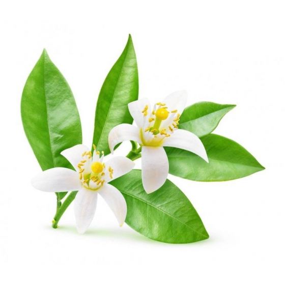 Nerolio eterinis  aliejus 1ml