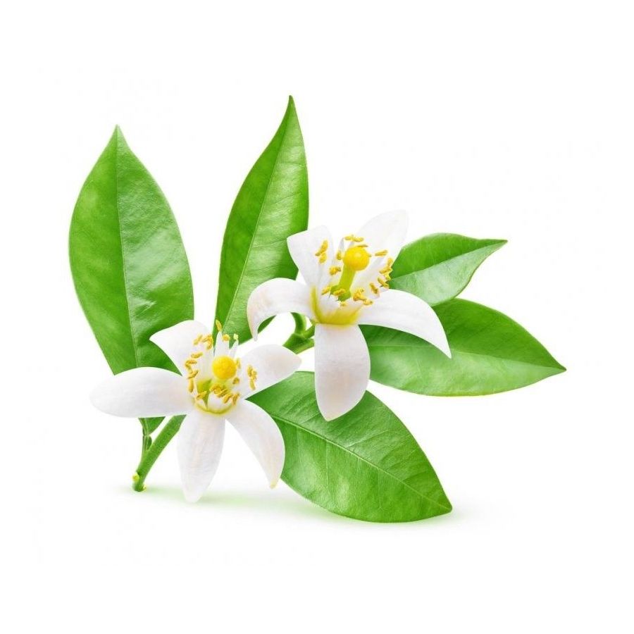 Nerolio eterinis  aliejus 1ml