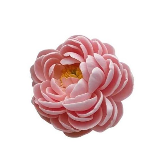 copy of Silikoninė forma -...