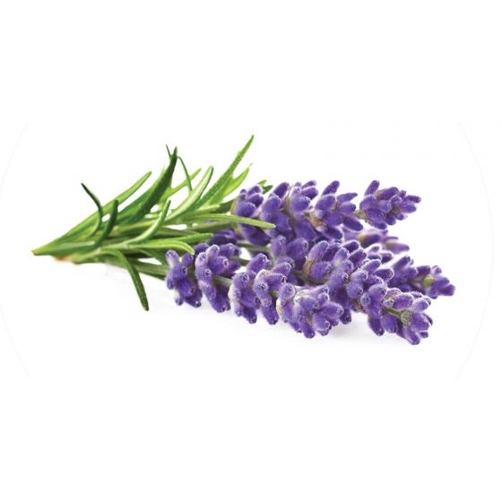 Levandų hidrolatas 200ml