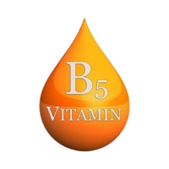Pantenolis (Vitaminas B5)