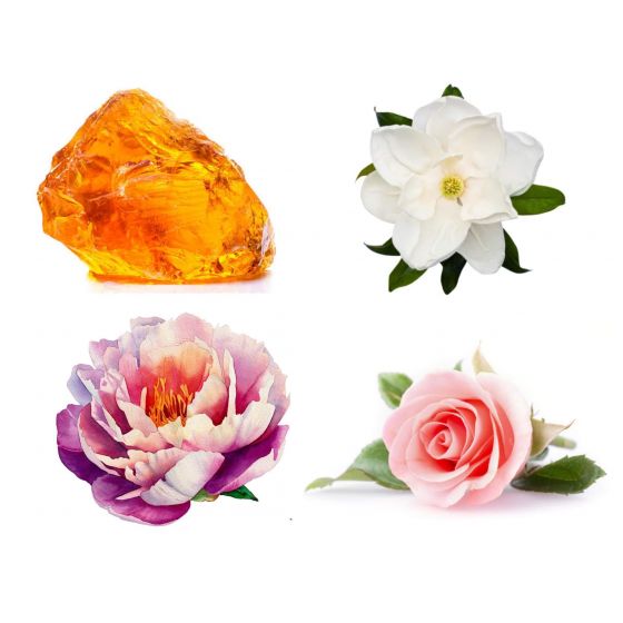 Bijūnai, magnolija, rožė ir gintaras  kvapusis aliejus