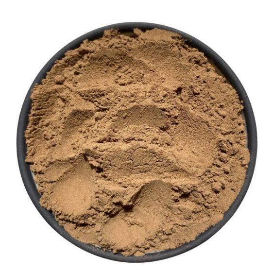 Geltonasis molis