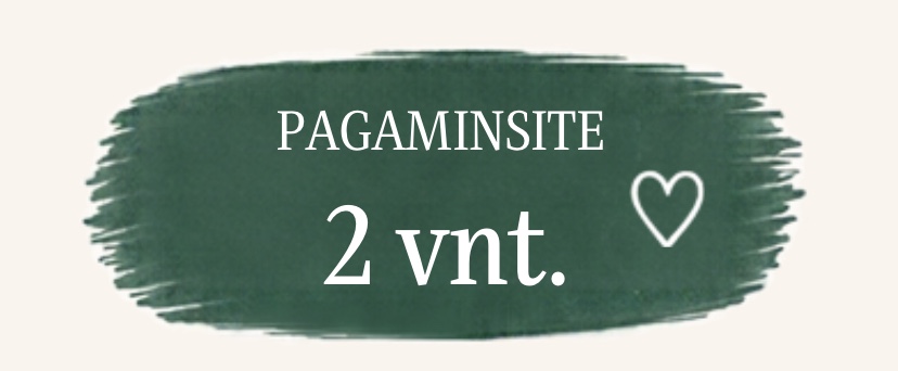 Pagaminsite 2 vnt.